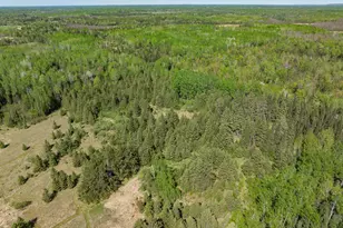 39186 State Hwy 65, Nashwauk, MN 55769 - Photo 20