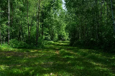 Tbd County Highway 47, Osage Township, MN 56570 - Photo 44
