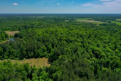 Tbd County Highway 47, Osage Township, MN 56570 - Photo 18