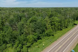 Tbd Hwy 65, Isle, MN 56342 - Photo 1