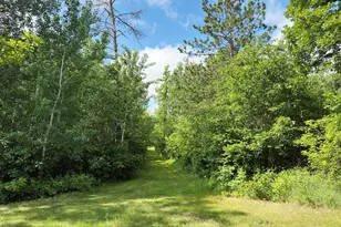 12207 110th St, Menahga, MN 56464 - Photo 48