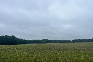 Tbd (Lot 1) Hemingway Ave, North Branch, MN 55056 - Photo 1