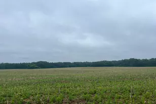 Tbd (Lot 2) Hemingway Ave, North Branch, MN 55056 - Photo 1