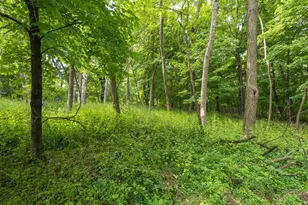 3470 Hamilton Ave, Wayzata, MN 55391 - Photo 60