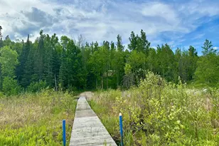 67488 Busties Lake Access, Effie, MN 56639 - Photo 46