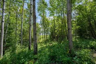 67488 Busties Lake Access, Effie, MN 56639 - Photo 42