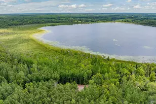 67488 Busties Lake Access, Effie, MN 56639 - Photo 32