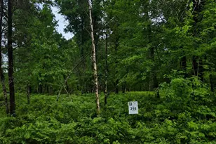 Lot 216 Deerpath Rd, Danbury, WI 54830 - Photo 1