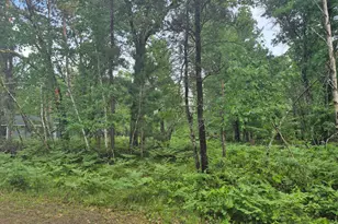 Lot 216 Deerpath Rd, Danbury, WI 54830 - Photo 2