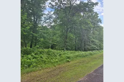 Lot 216 Deerpath Road, Danbury, WI 54830 - Photo 4