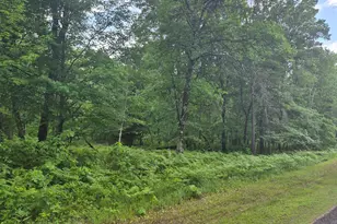 Lot 216 Deerpath Rd, Danbury, WI 54830 - Photo 4