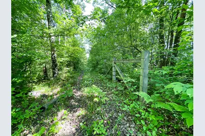 Tbd Hwy 92, Clearbrook, MN 56634 - Photo 44