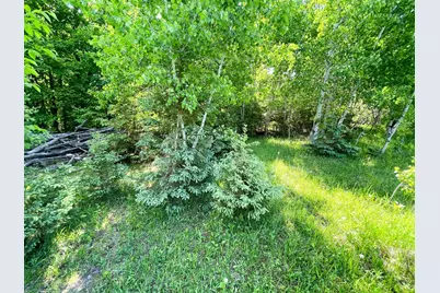 Tbd Hwy 92, Clearbrook, MN 56634 - Photo 66