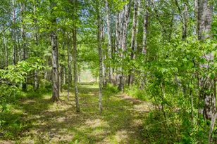 812 Spruce Grove Ln NW, Bemidji, MN 56601 - Photo 34