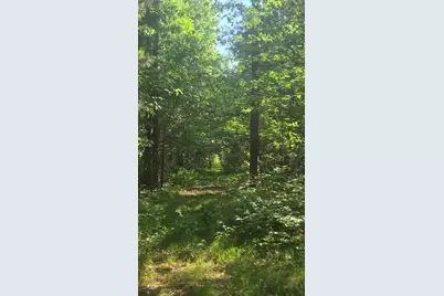 Tbd County Road 13, Nisswa, MN 56468 - Photo 12