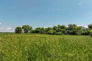 23569 County Rd 99 SW, Kensington, MN 56343 - Photo 50