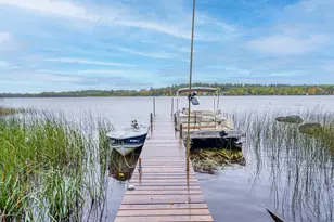 91009 Duffy Island, Tower, MN 55790 - Photo 30