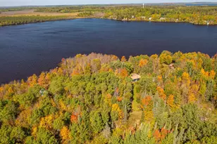 91009 Duffy Island, Tower, MN 55790 - Photo 42