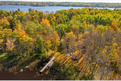 91009 Duffy Island, Tower, MN 55790 - Photo 38