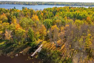 91009 Duffy Island, Tower, MN 55790 - Photo 38