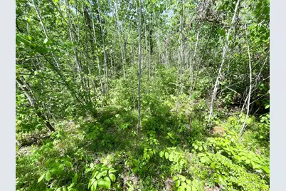 Tbd Stone Lake Road SW, Bemidji, MN 56601 - Photo 18
