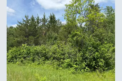 N 6398 Fred Tripp Road, Springbrook, WI 54875 - Photo 12