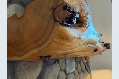 101 Walker Bay Boulevard #A-1, Walker, MN 56484 - Photo 14