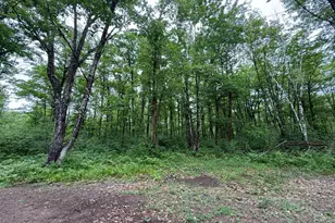 54520 United Country Ct, Sandstone, MN 55072 - Photo 16