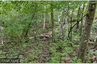 124Xx N Gabrielson Lake Road, Luck, WI 54853 - Photo 12