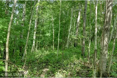 124Xx N Gabrielson Lake Road, Luck, WI 54853 - Photo 14