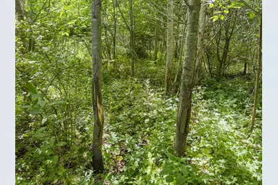 0 Dopp Road, Ettrick, WI 54627 - Photo 42