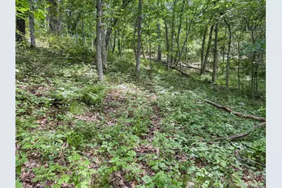 0 Dopp Road, Ettrick, WI 54627 - Photo 36