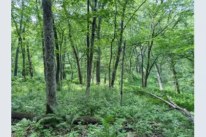 0 Dopp Road, Ettrick, WI 54627 - Photo 32