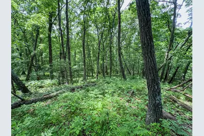 0 Dopp Road, Ettrick, WI 54627 - Photo 38
