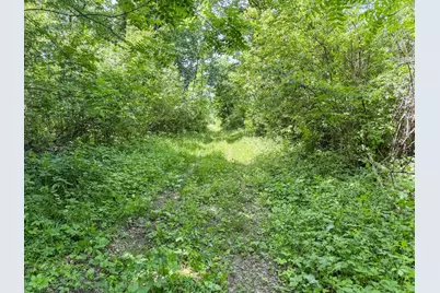 0 Dopp Road, Ettrick, WI 54627 - Photo 54