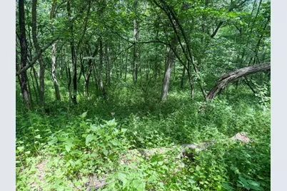 0 Dopp Road, Ettrick, WI 54627 - Photo 66