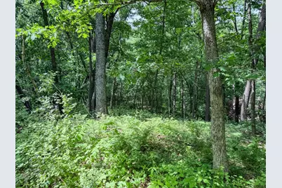 0 Dopp Road, Ettrick, WI 54627 - Photo 44
