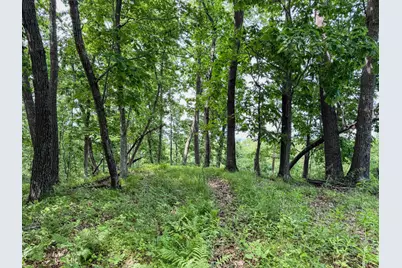 0 Dopp Road, Ettrick, WI 54627 - Photo 28