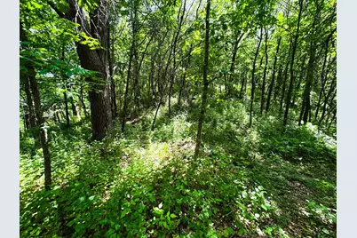 0 Dopp Road, Ettrick, WI 54627 - Photo 78