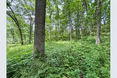 00 Dopp, Ettrick, WI 54627 - Photo 20