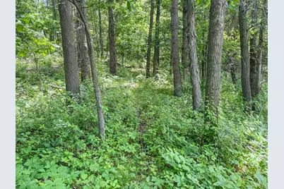 00 Dopp, Ettrick, WI 54627 - Photo 68