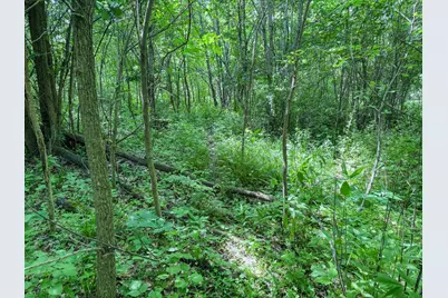 00 Dopp, Ettrick, WI 54627 - Photo 30