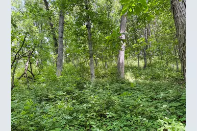 00 Dopp, Ettrick, WI 54627 - Photo 62