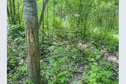 00 Dopp, Ettrick, WI 54627 - Photo 34
