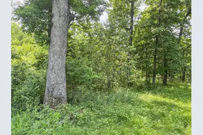 00 Dopp, Ettrick, WI 54627 - Photo 38