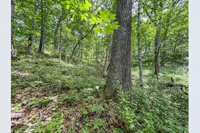 00 Dopp, Ettrick, WI 54627 - Photo 22