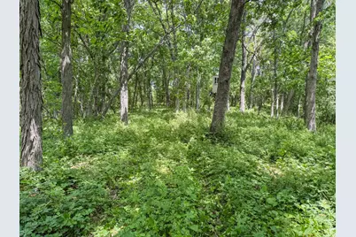 00 Dopp, Ettrick, WI 54627 - Photo 52
