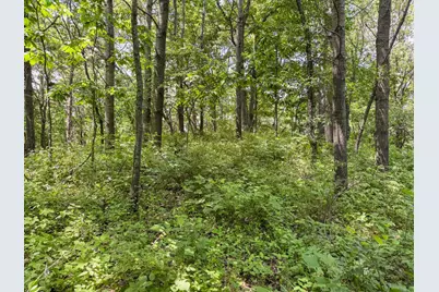 00 Dopp, Ettrick, WI 54627 - Photo 54