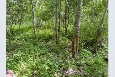 00 Dopp, Ettrick, WI 54627 - Photo 28
