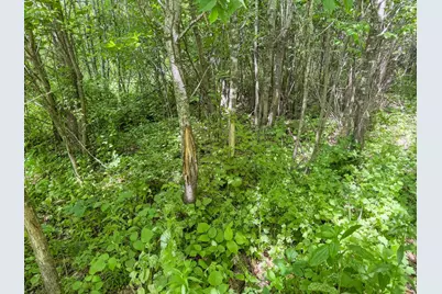 00 Dopp, Ettrick, WI 54627 - Photo 36